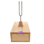 Tuning Fork Resonance Experiment Kit
